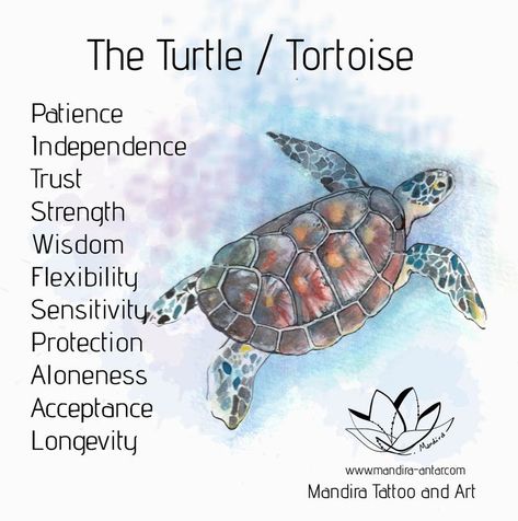 Hindu Cosmology, Turtle Meaning, Turtle Spirit Animal, Turtle Symbolism, Turtle Quotes, Spirit Animal Meaning, Totem Tattoo, Sea Turtle Tattoo, Animal Meanings