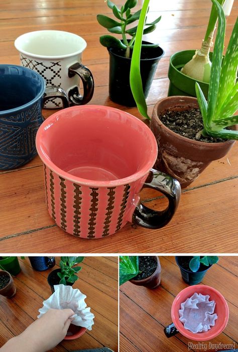 Repurposed Plant Pots, Mug Planters Diy, Upcycled Flower Pots, Coffee Mug Planter, Coffee Cup Crafts, Herbs Growing, Coffee Mug Crafts, Make A Mug, Planter Project