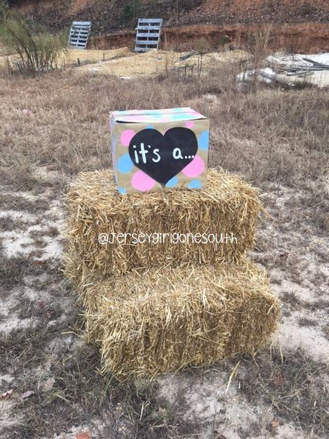 DIY Gender reveal box! This is the box set up prior to the tannerite explosion!  Check out my blog post at www.jerseygirlgonesouth.com Gender Reveal Tannerite Ideas, Tannerite Gender Reveal, Paintball Gender Reveal, Gender Reveal Tannerite, Glitter Gender Reveal, Gender Reveal Video, Gender Reveal Box, Its A Girl Announcement, Baby Girl Announcement