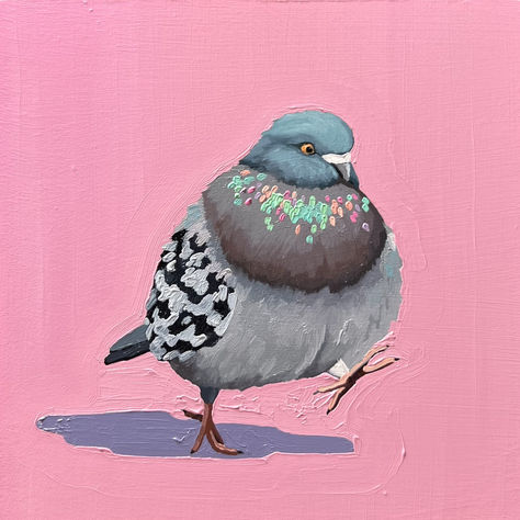 5x5 inches, oil on wood panel. Cute Pigeon, Places To Be, Gouache Art, Animation Design, Birds Painting, Cute Illustration, Bird Art, Oil Pastel, Animal Paintings