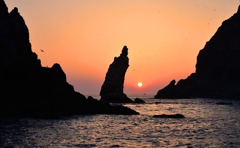 Be amazed by the natural beauty and charm of Ulleungdo, Korea’s “Mysterious Island.” Korea Pictures, Jeju Island South Korea, Sea Of Japan, Walking Paths, Jeju Island, 수채화 그림, Public Domain Images, Island Life, Beautiful Islands