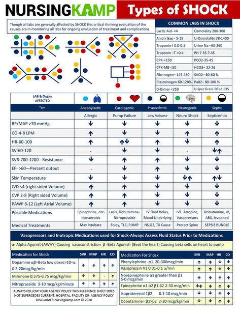 How Shocking! Endocrine Pharmacology, Nursing Planner, Nurse Education, Study Sheet, Types Of Shock, Nurse Notes, Medical Life, Body Facts, Nursing School Essential