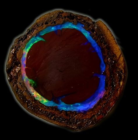 Yowah Nut Opal | #Geology #GeologyPage #Opal    Yowah Nut Opal is a unique and captivating gemstone known for its distinctive appearance and vibrant play of colors. Found exclusively in the Yowah opal field in Queensland, Australia, this gemstone is highly prized by collectors and jewelers alike.   Read More: Yowah Nut Opal, Opal Mineral, Geologic Time Scale, Natural Philosophy, Jelly Opal, Peruvian Blue Opal, Yowah Opal, Types Of Opals, Yellow Opal