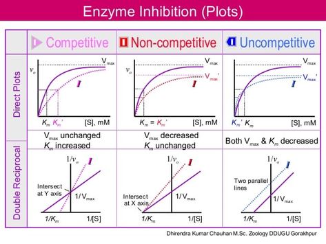 Mcat Tips, Enzymes Biology, Enzyme Kinetics, Mcat Study Tips, Heart Science, Biochemistry Notes, Chemical Kinetics, Mcat Prep, Chemistry Basics