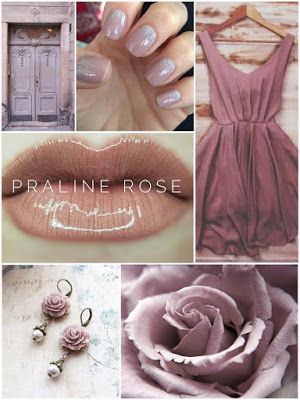 Rose Quartz Lipsense, Praline Rose Lipsense, Lipsense Pinks, Lipsense Lip Colors, Baby Pink Color, Senegence Lipsense, Lipsense Colors, Color Collage, Liquid Lip Color