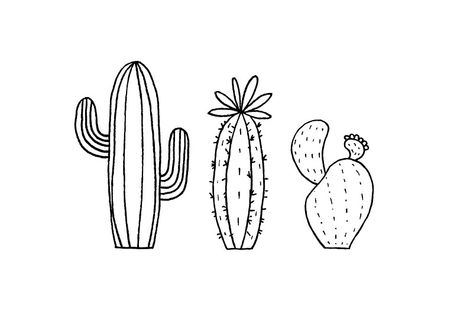 Cactus Outline, Cactus Doodle, Rose Stencil, Bestie Tattoo, Flowering Cactus, Cactus Tattoo, Cactus Drawing, Stunning Nails, Procreate Ipad Art