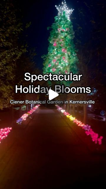 The Go-To Winston-Salem on Instagram: "HOLIDAY TRADITION - Spectacular Holiday Blooms opens at Ciener Botanical Garden on November 29!

➡️ WHAT: A display of over 10,000 lit ‘flowers’ made from plastic bottles that have been transformed into works of art. Each year volunteers create more of these upcycled flowers for the display!

🗓️ DATES: Fri-Sun, November 29 - December 29

🕐 HOURS: 5:30-9 PM

✨ SPECIAL EVENT: Take pictures with Santa at Ciener Botanical Garden on December 5!" Upcycled Flowers, Pictures With Santa, 29 December, Santa Pictures, Holiday Events, December 29, Winston Salem, Flower Lights, Botanical Garden