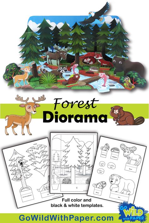 Deciduous Forest Diorama, Woodland Habitat Diorama, Animal Habitat Art And Craft, Diorama Ideas Forest, Woodland Forest Diorama, Coniferous Forest Biome Project, Fox Diorama Habitat, Forest Habitat Activities, Animal Diorama Habitats