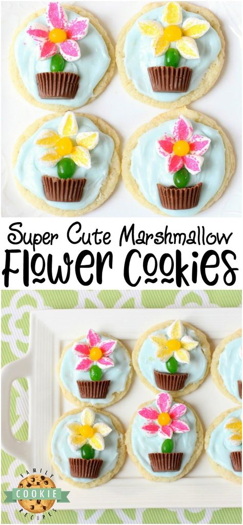 Marshmallow Flower Cookies are easy to make and perfect for Spring baking! Everyone loves these cute treats topped with marshmallow flowers with a jelly bean stem, in a chocolate pot! #marshmallow #cookies #flower #candy #Spring #summer #recipe from FAMILY COOKIE RECIPES Spring Flower Cookies, Cute Treats, Marshmallow Flowers, Flower Desserts, Pot Cookies, Flower Cookie, Spring Baking, Cake Flower, Chocolate Pot