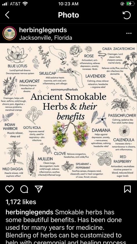 Herbs To Mix With Bud, Burning Mugwort Benefits, Herbs For Migraines, Smokeable Herbs And Flowers, Smokable Herb Blends, Smokeable Herbs, Herbs And Their Benefits, Smokable Herbs, Medicinal Herbs Remedies