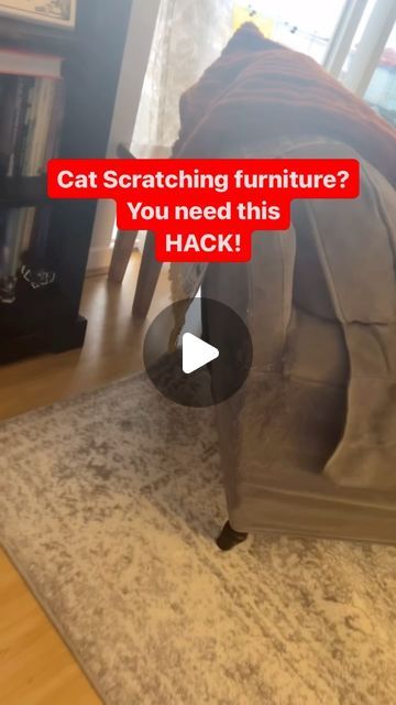 How To Get Cat Pee Out Of Mattress, Stop Cats From Clawing Furniture, Cat Proofing Your House, Cat Furniture Diy Homemade, Stop Cat Scratching Furniture, Cat Jungle Gym, Cat Deterrent Spray, Dog Deterrent, Diy Cat Scratching Post