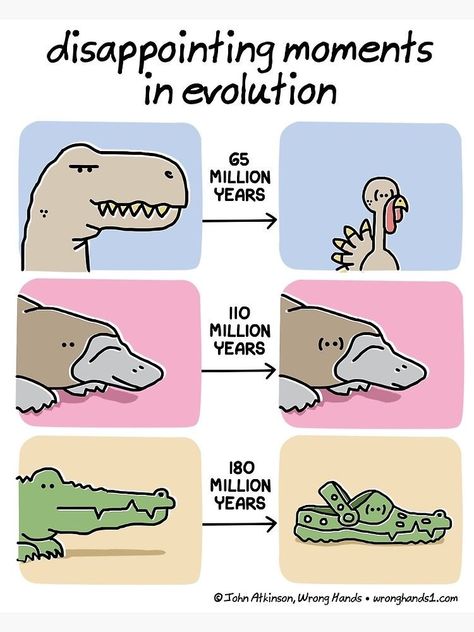 Types Of Dinosaurs, Funny Animal Jokes, Memes Humor, Funny Animal Memes, Animal Jokes, Really Funny Memes, Funny Cartoons, Animal Memes, Funny Laugh