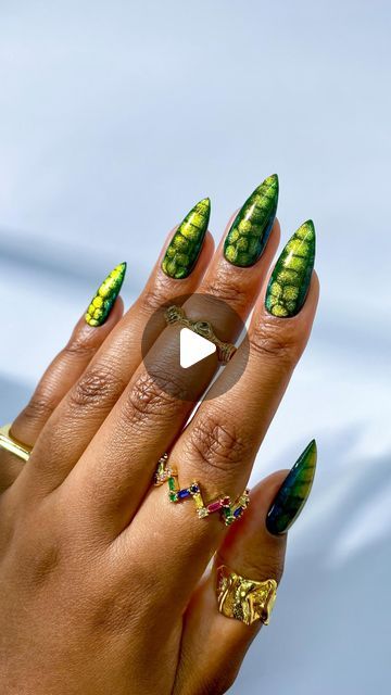 Mutsa E M on Instagram: "✨🐍✨ Inspired by @pava.nail   Using (includes PR): Nightrider (green) - @dndgel  Omnipotent cat eye in silver & Lemon Water - @varnailcom   More deets on how I created this set available in my cat eye workshop ❇️ See pinned post for info _ _ _ _  #nailart #nailsoftheday #nailstagram #explorepage#nailinspo #gelx #nails  #nailitdaily #nails #naildesigns#springnailart #chromenails #uniquenails #cateyenails #cateyenailart #magneticpolish #summernails #snakeprint #snakenails #magneticnails #colourfulnails" Green Cat Eye Nails, Magnetic Polish, Pinned Post, Magnetic Nails, Cat Eye Nails, Butterfly Nail, Lemon Water, Unique Nails, Chrome Nails