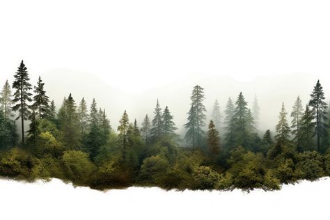 Trees Background For Editing, Greenery Sketch, Border Design Landscape, Tree Background For Editing, Elevation Background, Forest Background Landscape, Nature Background Images For Editing, Trees In Elevation, Vegetation Png