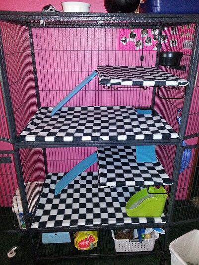 Ferret cage pan covers, for a cozy home your ferret will love with little splash of fashionable ferret too! Ferret Diy, Critter Nation Cage, Ferret Toys, Ferrets Care, Baby Ferrets, Ferret Cage, Rat Cage, Fancy Rat, Pet Ferret