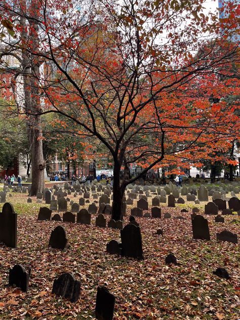 Fall Mystery Aesthetic, Boston Halloween Aesthetic, Kuburan Aesthetic, British Halloween, Halloween Town Aesthetic, Bone Study, Boston Halloween, Autumn Halloween Aesthetic, Autumn America