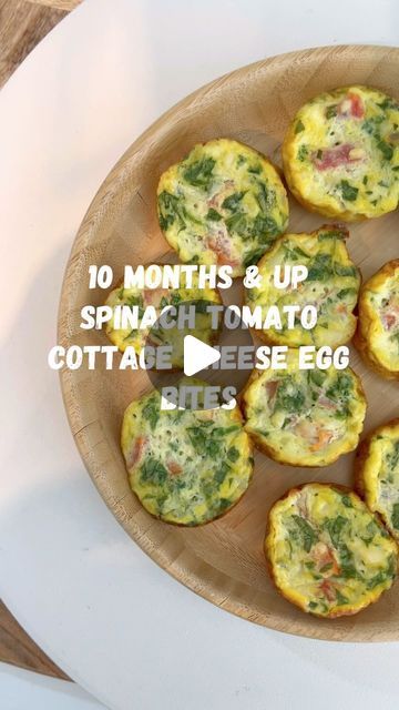 Natalie | Motherhood | Recipes on Instagram: "10 months & Up Spinach Tomato Cottage Cheese Egg Bites 🍅🍃🥚  These spinach tomato cottage cheese egg bites are so delicious, you and your baby will love them! They are easy and quick to prepare and are wonderful for meal prepping and having in the freezer for a quick breakfast, lunch or snack! Loaded with protein, healthy fats, fiber, iron & more. Let me know if you give this one a try! 😋  I recommend putting all the leftovers straight into the freezer and when ready to eat, heat up for 30 seconds in the microwave. Freeze for up to 1 month 🧊  Ingredients: 3 eggs 🥚  3/4 cup cottage cheese  1 skinless chopped tomato 🍅  Handful of chopped spinach 🍃  -Add eggs, cottage cheese to a bowl and mix -Add tomato and spinach and mix into egg mixture Tomato Cottage Cheese, Cottage Cheese Egg Bites, Cheese Egg Bites, Eggs Cottage Cheese, Cottage Cheese Eggs, Toddler Foods, Spinach Tomato, Baby Recipes, Baby Led Weaning Recipes