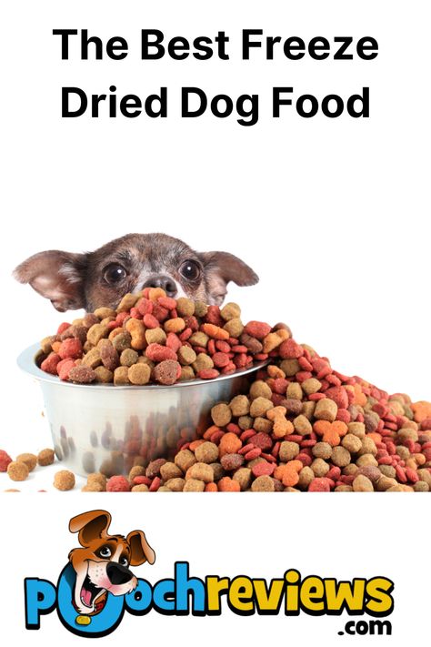 Best Freeze Dried Dog Food Freeze Dried Raw Dog Food, Freeze Dried Dog Food, Raw Dog Food, Raw Dog Food Recipes, Freeze Dried, Dry Dog Food, Freeze Drying, Dog Food, Dog Food Recipes