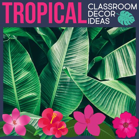 Tropical Classroom Theme Ideas for Elementary Teachers in 2022 - Clutter-Free Classroom | by Jodi Durgin Themes For Classrooms, Tropical Classroom Theme, Tropical Classroom Decor, Rainforest Classroom, Classroom Theme Ideas, Middle School Drama, Tropical Classroom, Forest Classroom, Plants Classroom