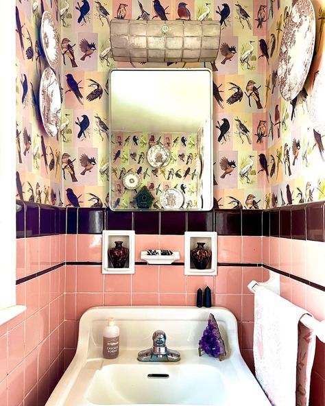 Sink In Bathroom, 1950s Bathroom, Best Indoor Trees, Minimal Traditional, Kitchen Bohemian, Pink Tile, Before After Kitchen, Bedroom Traditional, Bohemian Bathroom