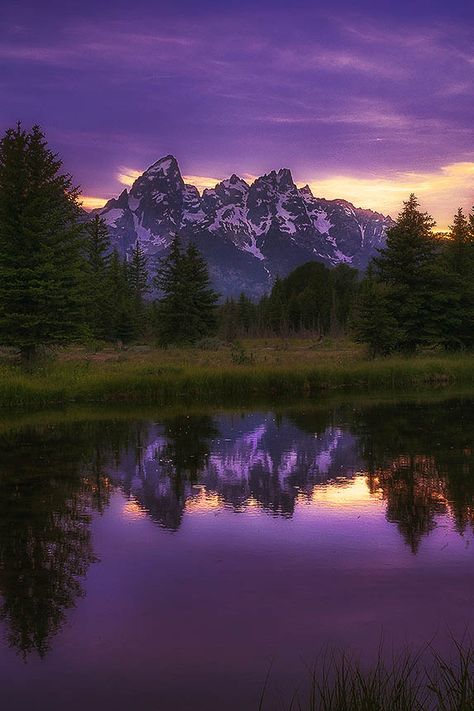 Purple Mountain Majesty, Colorful Life, Fotografi Alam Semula Jadi, Purple Sky, All Things Purple, Alam Semula Jadi, Purple Hues, Purple Aesthetic, Color Theory