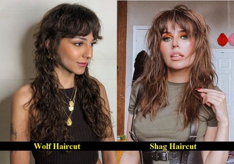 Wolf Cut Vs. Shag Cut Debate | Which One Is Better? Wedding Bob, Mullet Haircuts, Rachel Haircut, Easy Trendy Hairstyles, Shag Cut, Shaggy Bob Haircut, Monochrome Makeup Look, Long Shag Haircut, Lob Haircut