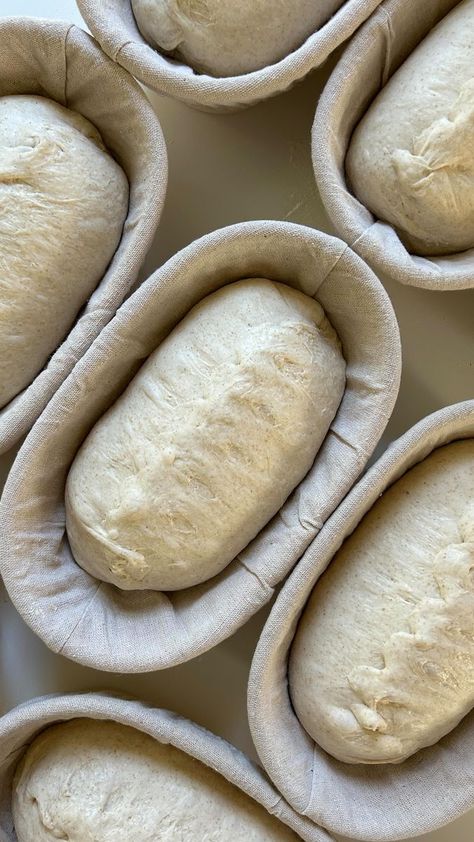 Little Pearl Breads & Bakes | Sourdough Micro Bakery | Macey on Reels | Andrew Gialanella · Promise Micro Bakery, Bakery Kitchen, Sourdough Baking, Home Bakery, Bakery Bread, Reduce Food Waste, Artisan Bread, Sourdough Starter, Basic Recipes