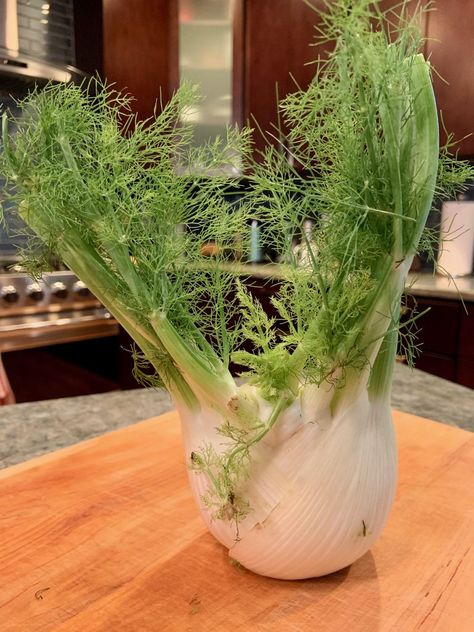 7 Benefits of Eating Fennel In Midlife To Boost Your Health Fennel Health Benefits, Fennel Benefits, Roasted Fennel, Bone Health, Love And Lemons, Fennel, How To Cook, Gut Health, Health Benefits