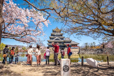 27 Top Attractions & Things to Do in Japan (with Map) - Touropia Things To Do In Japan, Modern Skyscrapers, High Tech Gadgets, Ancient Temples, Tourist Attraction, Osaka, High Tech, Kyoto, Skyscraper