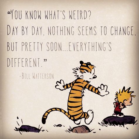 Greatest Calvin And Hobbes Quotes. QuotesGram by @quotesgram Calvin Und Hobbes, Calvin And Hobbes Quotes, Calvin And Hobbes Comics, Fav Books, Bd Comics, Baymax, Grad Cap, Trendy Quotes, A Tiger