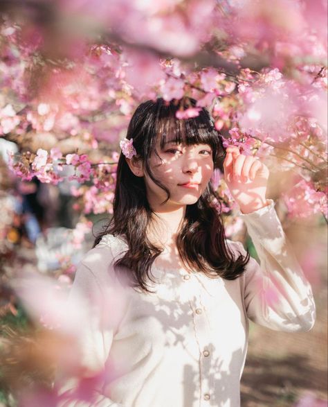 Cherry Blossom Pictures, Spring Photoshoot, Flower Photoshoot, Sakura Tree, Female Pose Reference, Human Reference, Body Reference Poses, Portrait Photoshoot, Figure Poses