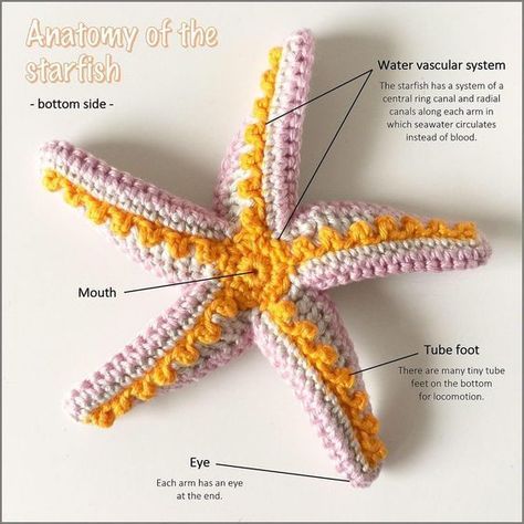 Crochet Star Fish Pattern Free, Starfish Crochet, Free Crochet Toy Patterns, Crochet Starfish, Plastic Bag Crochet, Crochet Dog Clothes, Deco Marine, Crochet Fish, Crochet Stars