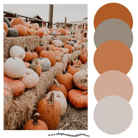 Pumpkin Spice Color Palette, Pumpkin Orange Color Palette, Pumpkin Patch Color Palette, Pumpkin Spice Colour Palette, Fall Color Palette Embroidery, Fall Color Pallet, Shower Colors, Pumpkin Wedding, Pallet Designs