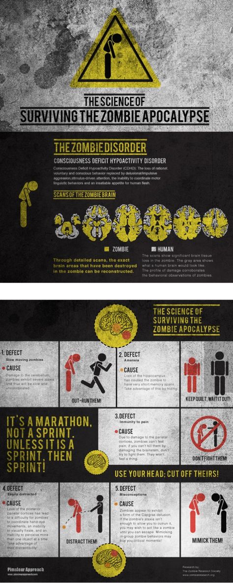 The Science of Surviving the Zombie Apocalypse Zombie Apocalypse House, Zombies Apocalypse Survival, Zombie Apocalypse Party, Zombie Survival Guide, Zombie Survival Kit, Apocalypse Survivor, Zombie Apocolypse, Apocalypse Aesthetic, Walking Dead Zombies