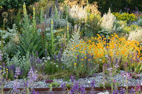 Naturalistic Garden, Inspiration Nature, Meadow Garden, Australian Garden, Gravel Garden, Plant Combinations, Wild Plants, Green Garden, Desert Landscaping