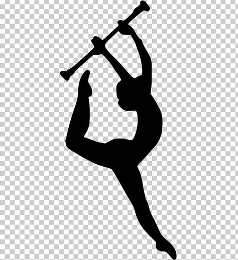 Twirling Baton, Flute Problems, Marching Band Problems, Colour Guard, Clipart Animals, Baton Twirling, Band Jokes, Dancing Drawings, Winter Guard