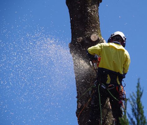 From loggers to pilots, these workers have the top 10 most dangerous jobs in America, according to the latest data Jobs You Didnt Know Existed, Dangerous Jobs, Professional Growth, 10 Things