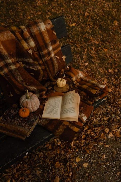 Herbst Bucket List, Fall Mood Board, Autumn Magic, Dark Autumn, Pumpkin Spice Season, Autumn Scenery, Fall Feels, Fall Pictures, Autumn Cozy