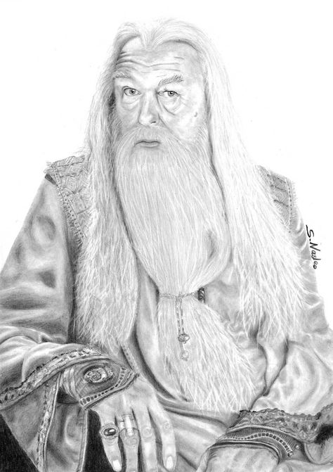 Albus Dumbledore Albus Dumbledore, Pencil Drawings, Lion Sculpture, Harry Potter, Design Ideas, Abstract Art, Character Design, Statue, Sculpture