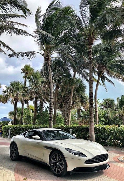 Aston Martin Db11, Aston Martin Cars, Lux Cars, Dodge Challenger Srt, Classy Cars, Super Luxury Cars, Fancy Cars, Best Luxury Cars, Pretty Cars