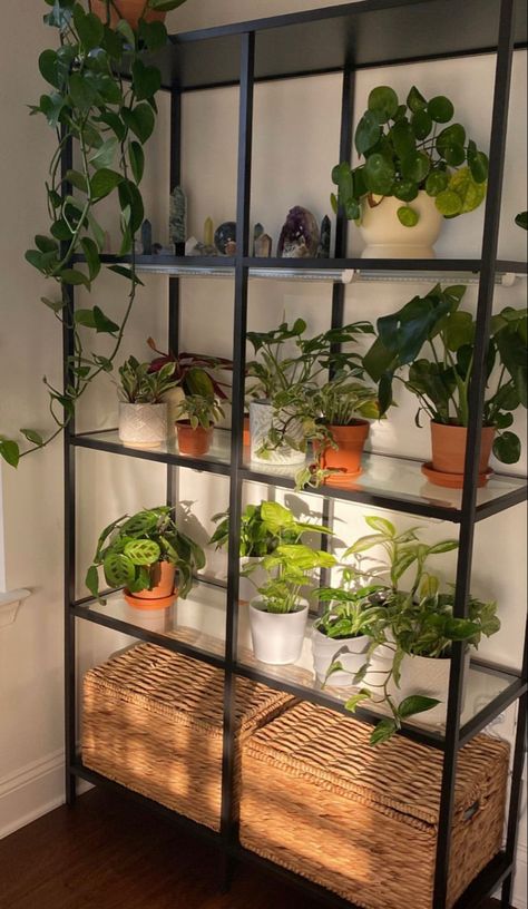 Plants For Bookshelves, Vittsjo Plant Shelf, Ikea Pots, Plants In Living Room, Scandinavian Plant, Plants Apartment, Apartment Therapy Inspired Decor, Plant Apartment, Window Plant Shelf