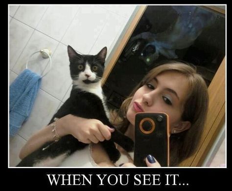 Well, obviously the cat can see it! Meme Patrick, When U See It, Creepy Pictures, When You See It, Crazy Funny Memes, Funny As Hell, Scary Stories, Funny Animal Memes, Komik Internet Fenomenleri