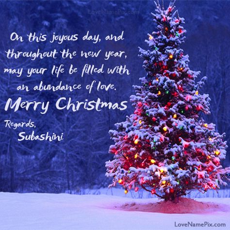 Merry Christmas Sms, Christmas Wishes Text, Merry Christmas Wishes Quotes, Merry Christmas Wishes Messages, Short Christmas Wishes, Merry Christmas Wishes Images, Funny Christmas Wishes, Christmas Wishes Greetings, Christmas Greetings Quotes