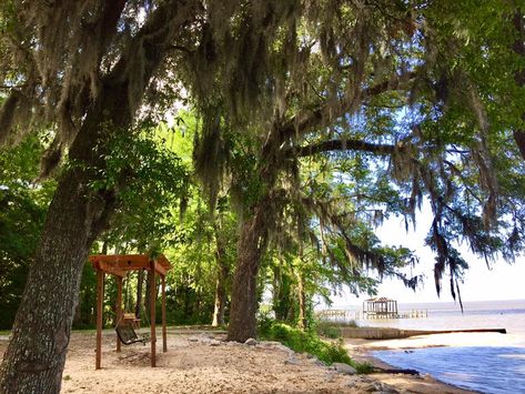 From scenic parks to award-winning restaurants, this Alabama beach town has it all! Daphne Alabama, Top Vacation Destinations, Alabama Beaches, Dauphin Island, Spring Getaway, Beach Towns, Beautiful Town, Park Pictures, Scenic Byway