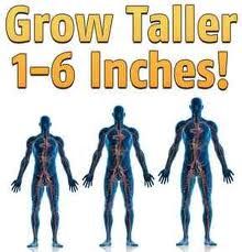 Height Exercises, Super Brain Yoga, Grow Height, Tips To Increase Height, Bed Exercises, Height Grow, How To Get Tall, Get Taller Exercises, Grow Taller Exercises