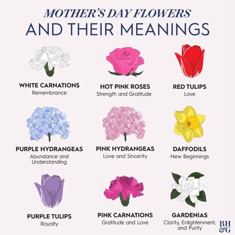 @socooldesigns posted to Instagram: Happy Mothers Day!  Better Homes & Gardens (@betterhomesandgardens) on Instagram: “Fill Mom's bouquet with the flowers that represent how you really feel. 💗 Tap the link in our bio…”  #mothersdayflowers #happymothersdaytoall Flowers Meanings, Flowers Chart, What Colors Represent, Small Wave Tattoo, Mother's Day Bouquet, Hot Pink Roses, Flower Guide, Hydrangea Purple, Flower Arrangements Simple