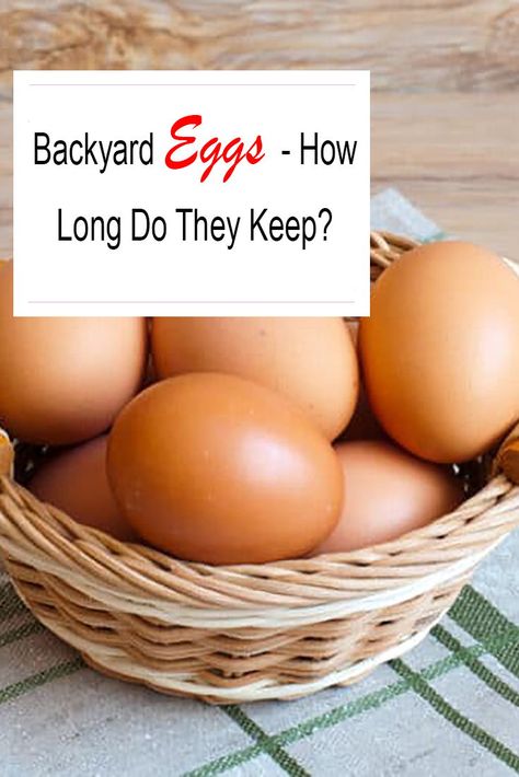 Backyard Eggs - How Long Do They Keep? Egg Facts, Raising Chicken, Duck Eggs, Egg Production, Tree House Designs, Farm Eggs, Keeping Chickens, Farm Fresh Eggs, Fresh Chicken