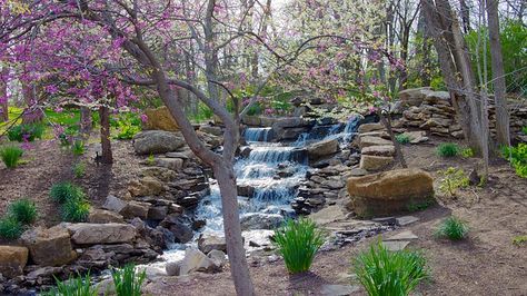 Overland Park Arboretum and Botanical Gardens - Kansas City Overland Park Arboretum, Kansas City Kansas, Overland Park Kansas, Garden Pictures, Landscaping Company, Overland Park, Garden Tours, Green Garden, Beautiful Places To Travel