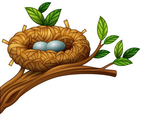 Download the Two eggs in bird nest 11803019 royalty-free Vector from Vecteezy for your project and explore over a million other vectors, icons and clipart graphics! Bird Nest Illustration, Nest Illustration, Sunday School Room Decor, Nest Images, Illustration Bird, Branch Leaves, Disco Party Decorations, Cartoon Trees, Bird Clipart