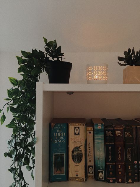 Lord Of The Rings Inspired Home, Lord Of The Rings Room, Bookshelf Plants, Hobbit Room, Lotr Decor, Candles Diy, Books Bookshelf, Fantasy Decor, Sophomore Year